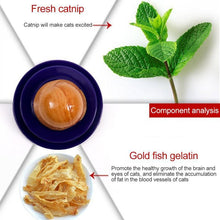 Load image into Gallery viewer, SnackCat™ Supplement For Cats