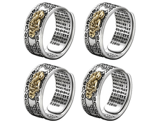 Load image into Gallery viewer, Feng Shui Ring Suey Pixiu Mantra