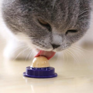 SnackCat™ Supplement For Cats